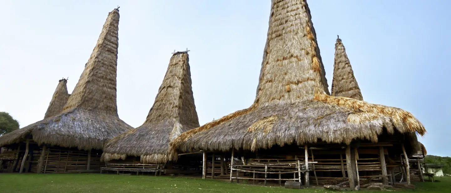 Rumah adat Sumba beratap menara di halaman berumput